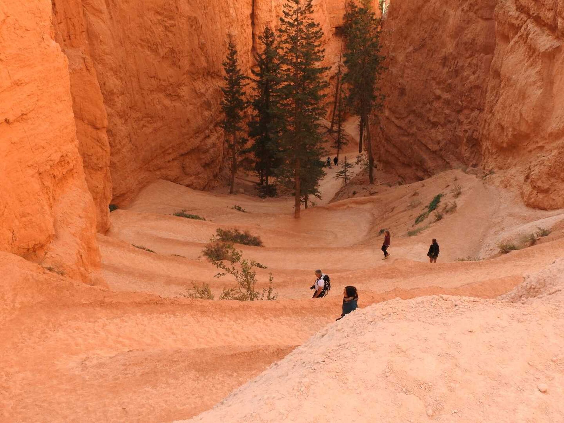 USA Bryce Canyon