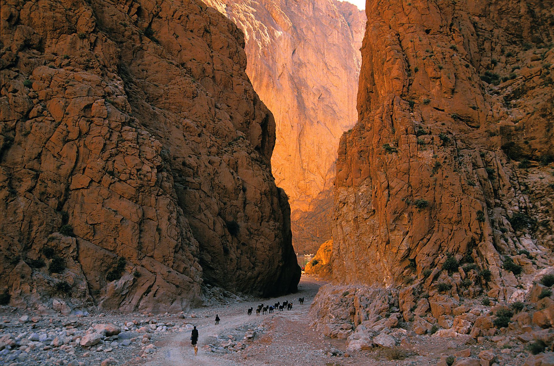 Marocco Todra Gorges Marocco Todra Gorges