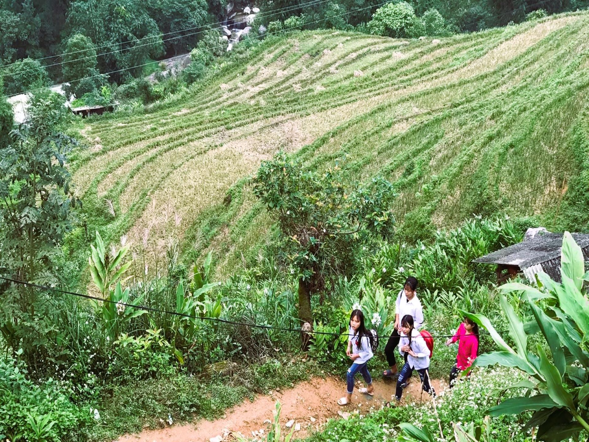 Vietnam Sapa Risaie Trekking