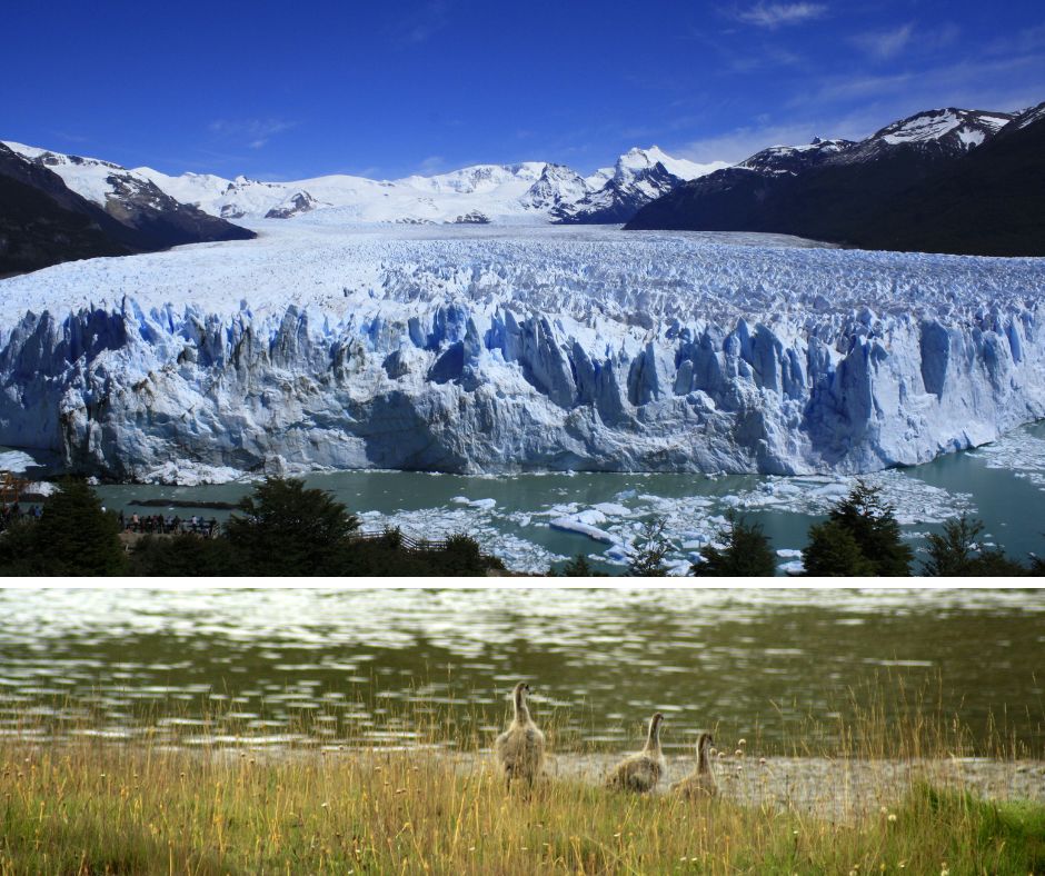 Argentina Perito Moreno El Calafate