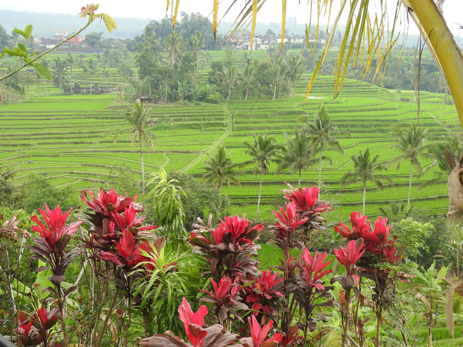 Indonesia Bali