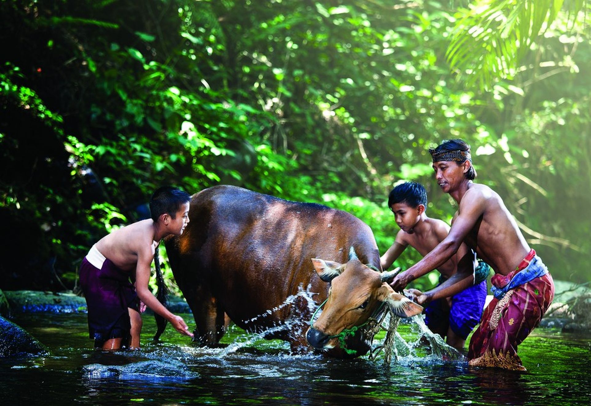 Indonesia Sulawesi