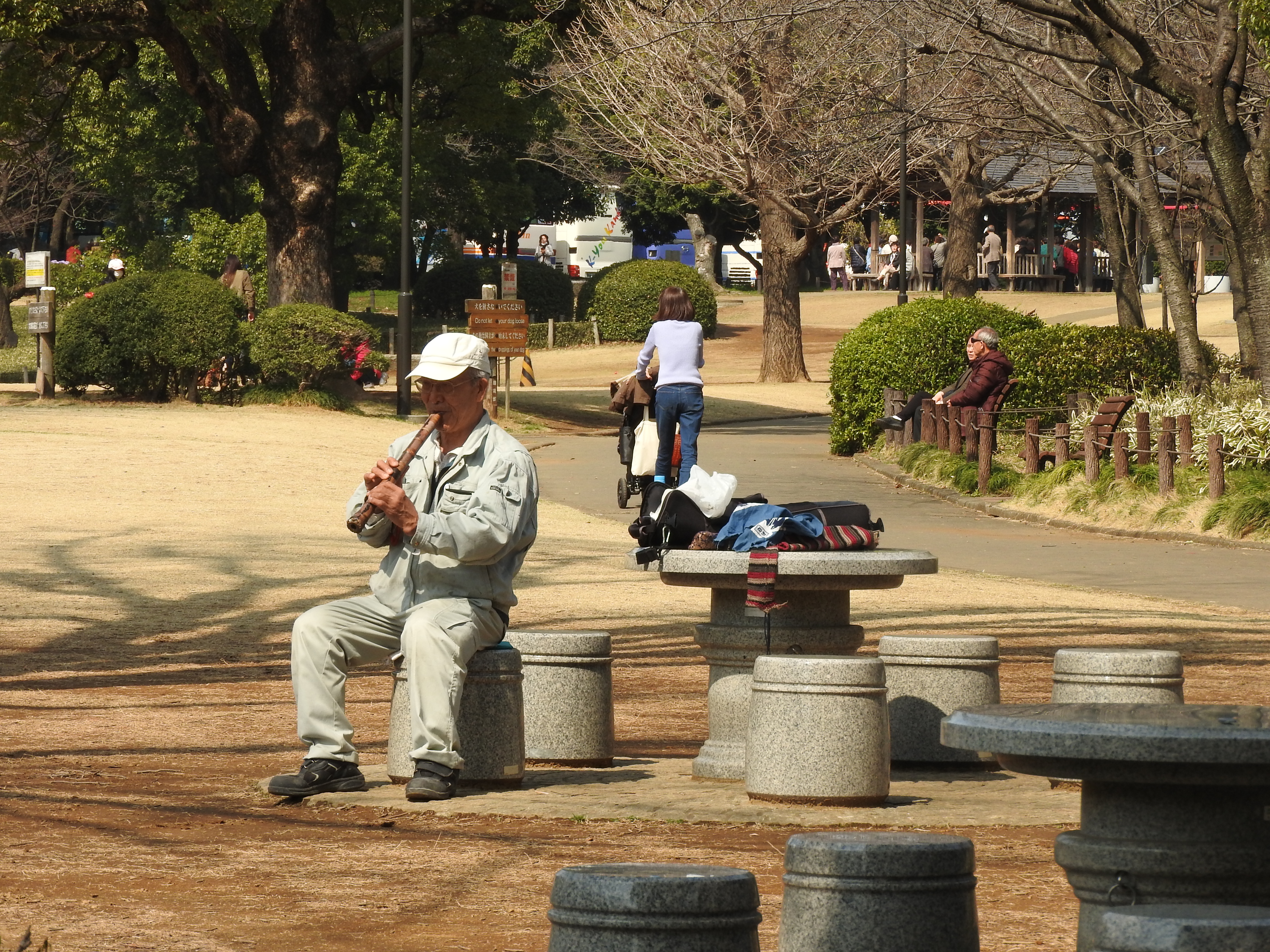 Giappone Parco