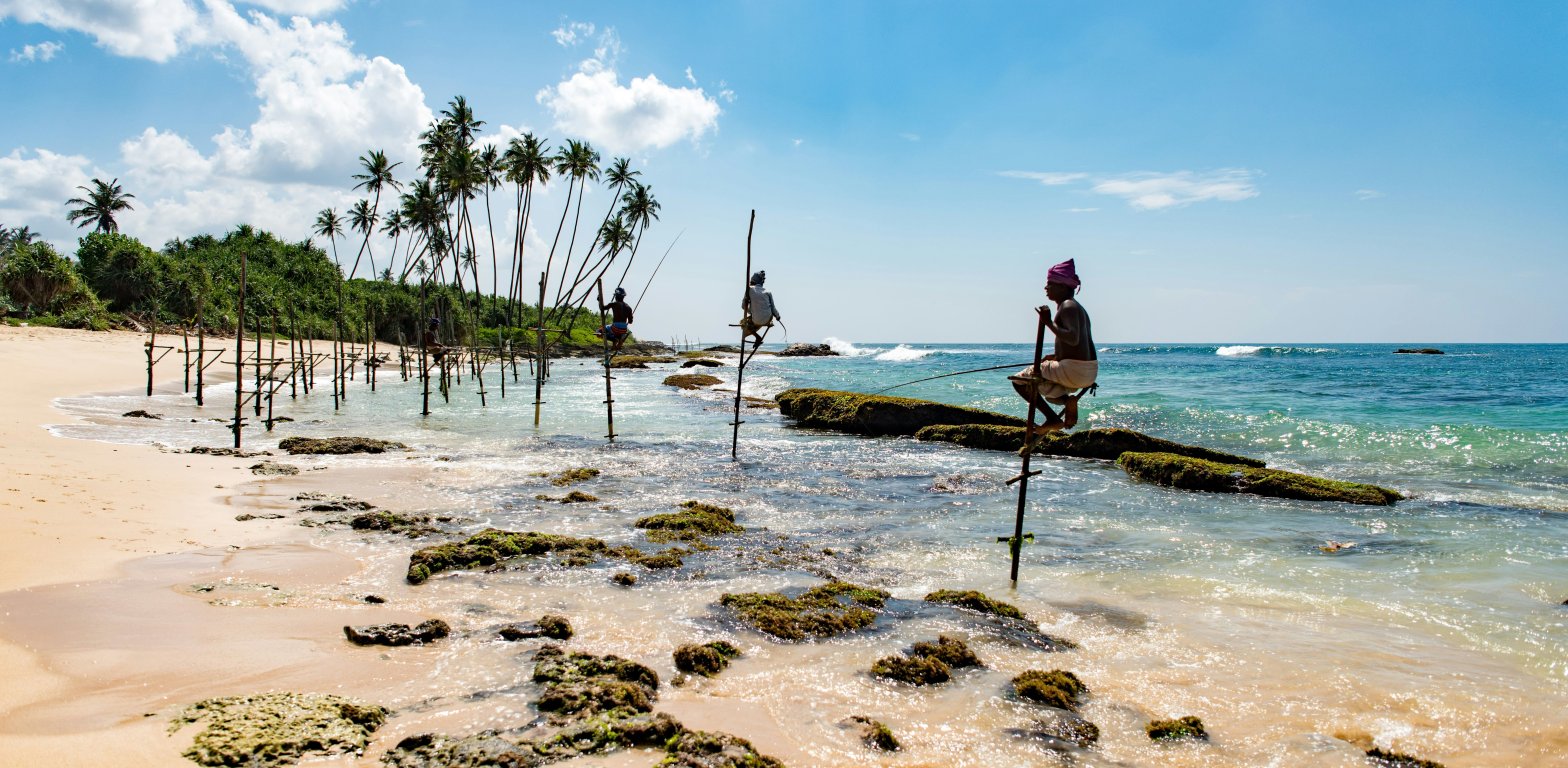 Tradizionali pescatori su pali lungo la costa di Mirissa