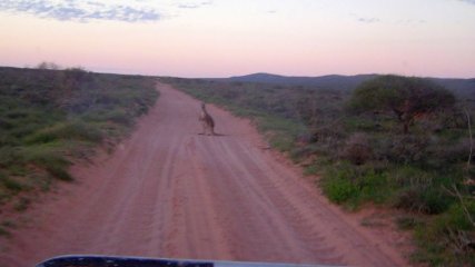 australiaflyanddrive.jpg