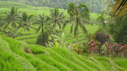 bimage00128pammtravel.jpg