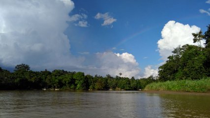 Malesia Borneo Kinabatangan