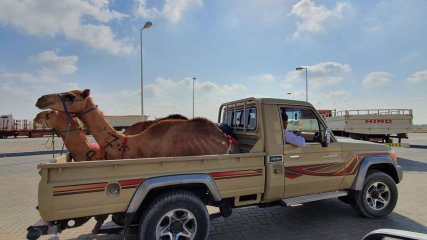 Oman Commercio e vita locale