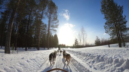 Finlandia Rovaniemi Foto di Lars Ley