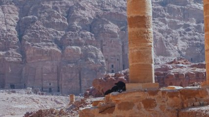 Giordania Petra Colonne Teatro