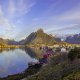 Norvegia Lofoten Alba Foto di Manolo Franco da Pixabay